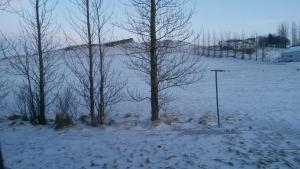 Skyggnir Bed and Breakfast om vinteren