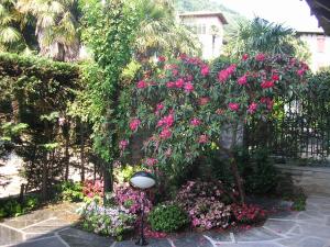 Gallery image of Appartamento Tennis in Cannero Riviera