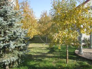 Jardín al aire libre en Gostinitsa "Sultan"