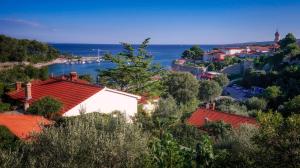 Příroda nedaleko apartmánu