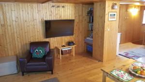 ein Wohnzimmer mit einem Stuhl und einem Flachbild-TV in der Unterkunft ROZTOKI Four Seasons in Witów