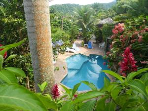 una vista aérea de una piscina en un jardín en Candy Chalé Casal, en Ilhabela