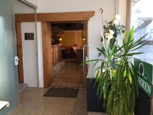 Fotografie z fotogalerie ubytování Pension Wachter v destinaci Hörbranz