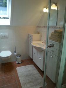 a bathroom with a sink and a toilet and a shower at Haus Schönblick in Bad Bertrich +19 photos