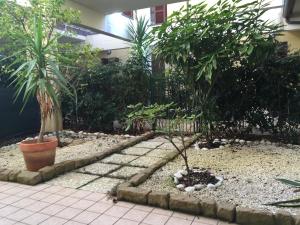 a garden with two palm trees and a fence at Gugliormella in Sirolo