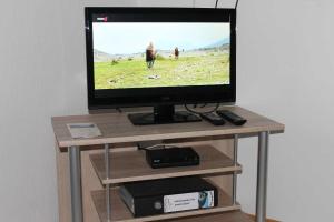 TV en un soporte de madera con videojuego en Gaestehaus Vogt, en Bad Kohlgrub