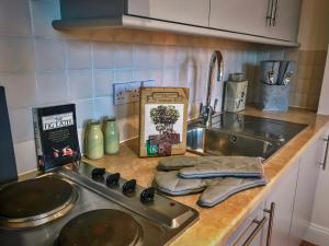 a kitchen counter top with a sink and a stove at Flat 4, York Terrace in Norwich