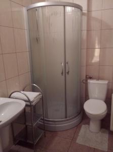 La salle de bains est pourvue d'une douche, de toilettes et d'un lavabo. dans l'établissement Zajazd Grodek Bujak Robert Naclegi i Restauracja, à Grodków