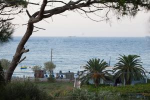 a view of the ocean from a beach with palm trees at Lampi's House in Patmos
