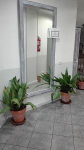 Fotografia z galérie ubytovania Hostal La Campana v destinácii Toledo