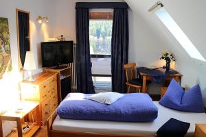 TV a/nebo společenská místnost v ubytování Hotel-Pension Thomé + 35 fotografií