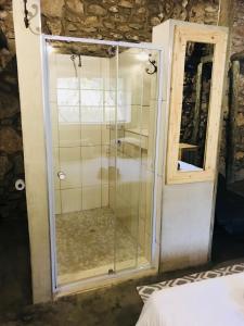 a shower with a glass door in a room at Sasa Safari Camp & Tours in Outjo