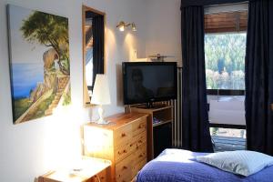 a bedroom with a bed and a television and a window at Hotel-Pension Thomé in Hinterzarten