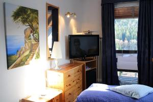 TV a/nebo společenská místnost v ubytování Hotel-Pension Thomé