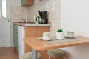 Kuchyň nebo kuchyňský kout v ubytování Apartments Ivana-Gustirna
