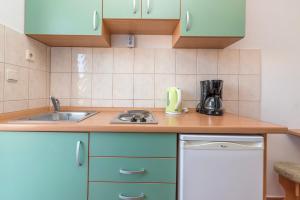 Kuchyň nebo kuchyňský kout v ubytování Apartments Ivana-Gustirna