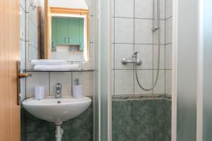 Koupelna v ubytování Apartments Ivana-Gustirna