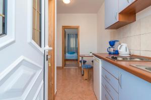 Kuchyň nebo kuchyňský kout v ubytování Apartments Ivana-Gustirna