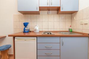 Kuchyň nebo kuchyňský kout v ubytování Apartments Ivana-Gustirna