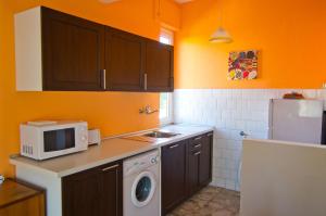 博爾迪蓋拉的住宿－Appartamento Corso Italia "Natura"，厨房配有洗衣机和微波炉。