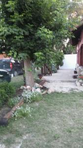 un patio con un coche estacionado al lado de una casa en Particular en Villa Gesell