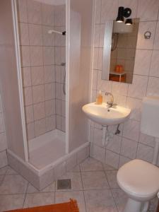 a bathroom with a shower and a toilet and a sink at Hotel Concorde Dokki in Cairo