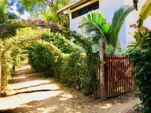 Giardino di Spondylus Lodge