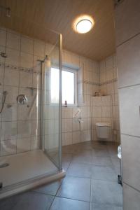 uma casa de banho com um chuveiro, um lavatório e um WC. em Ferienwohnung Helbig em Allendorf an der Lumda