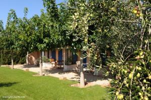 una casa con un montón de árboles en un patio en Les Hôtes de la Combe Mouis, en Creissan