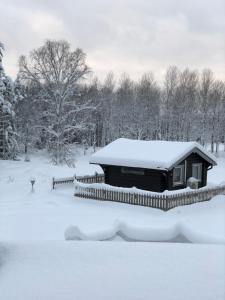 eine schneebedeckte Hütte auf einem schneebedeckten Feld in der Unterkunft Lammsjon Relax in Sille