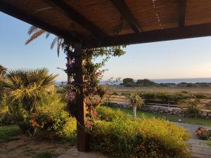 una vista desde el porche de una casa con flores en Il Giardino delle Aloe en Favignana