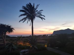 una palmera con la puesta de sol en el fondo en Il Giardino delle Aloe en Favignana