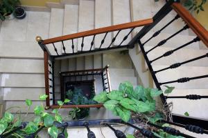 a spiral staircase with a mirror and plants at Hotel Doña Nieves in Noreña