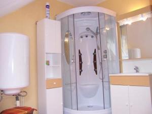 uma casa de banho com um chuveiro e um lavatório. em La maison de poupet em Salins-les-Bains