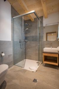 a bathroom with a shower and a toilet and a sink at Alpenchalet Stadlpoint in Ried im Zillertal