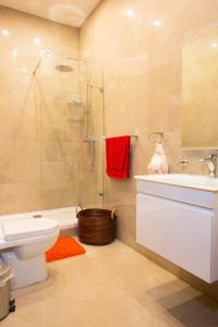 y baño con ducha, aseo y lavamanos. en Maltese Town House Sliema en Sliema