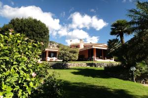 una casa con una palmera en un patio en A Casa Di Angela B&B, en Carbonia