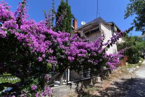Fotografie z fotogalerie ubytování Nina v destinaci Mali Lošinj