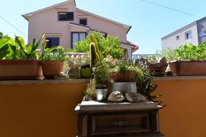 Fotografie z fotogalerie ubytování Nina v destinaci Mali Lošinj + 37 fotografií