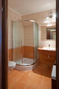 een badkamer met een douche, een toilet en een wastafel bij Skalny Dworek in Nowy Targ