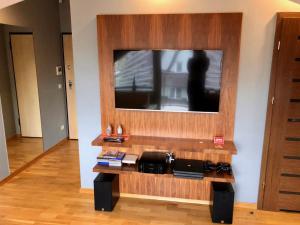 Televízia a/alebo spoločenská miestnosť v ubytovaní Apartamenty Smile