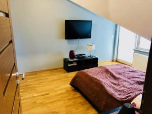 Televízia a/alebo spoločenská miestnosť v ubytovaní Apartamenty Smile