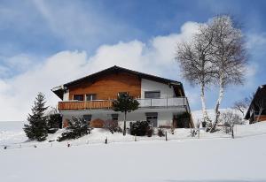 ein Haus auf einem schneebedeckten Hang in der Unterkunft Chalet Florida in Bürchen