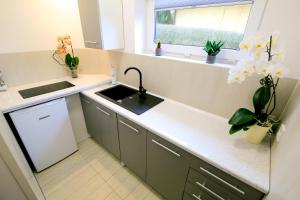 Kuchyň nebo kuchyňský kout v ubytování Apartament Esja