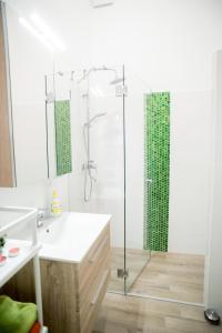 a bathroom with a shower and a white sink at City Heart Apartment in Budapest +12 photos