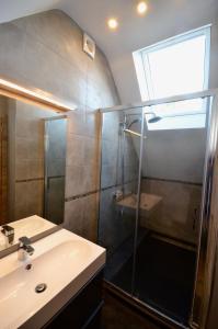 W łazience znajduje się prysznic i umywalka. w obiekcie Le Duplex de la Raveline w mieście Sart-lez-Spa
