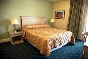 Letto o letti in una camera di Nafsika Palace Delphi-Itea