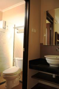 łazienka z toaletą i umywalką w obiekcie Twin House w mieście Kaliurang