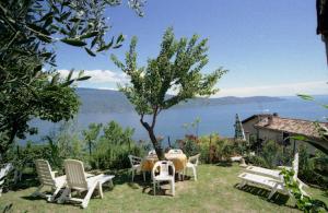 a group of chairs and a table and a tree at Appartamenti Serena - Nonna Agnese in Gargnano