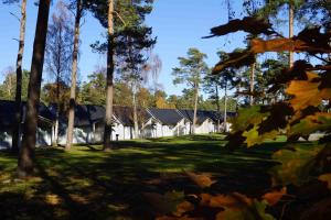 a house in the middle of a field with trees at Ystad Camping in Ystad